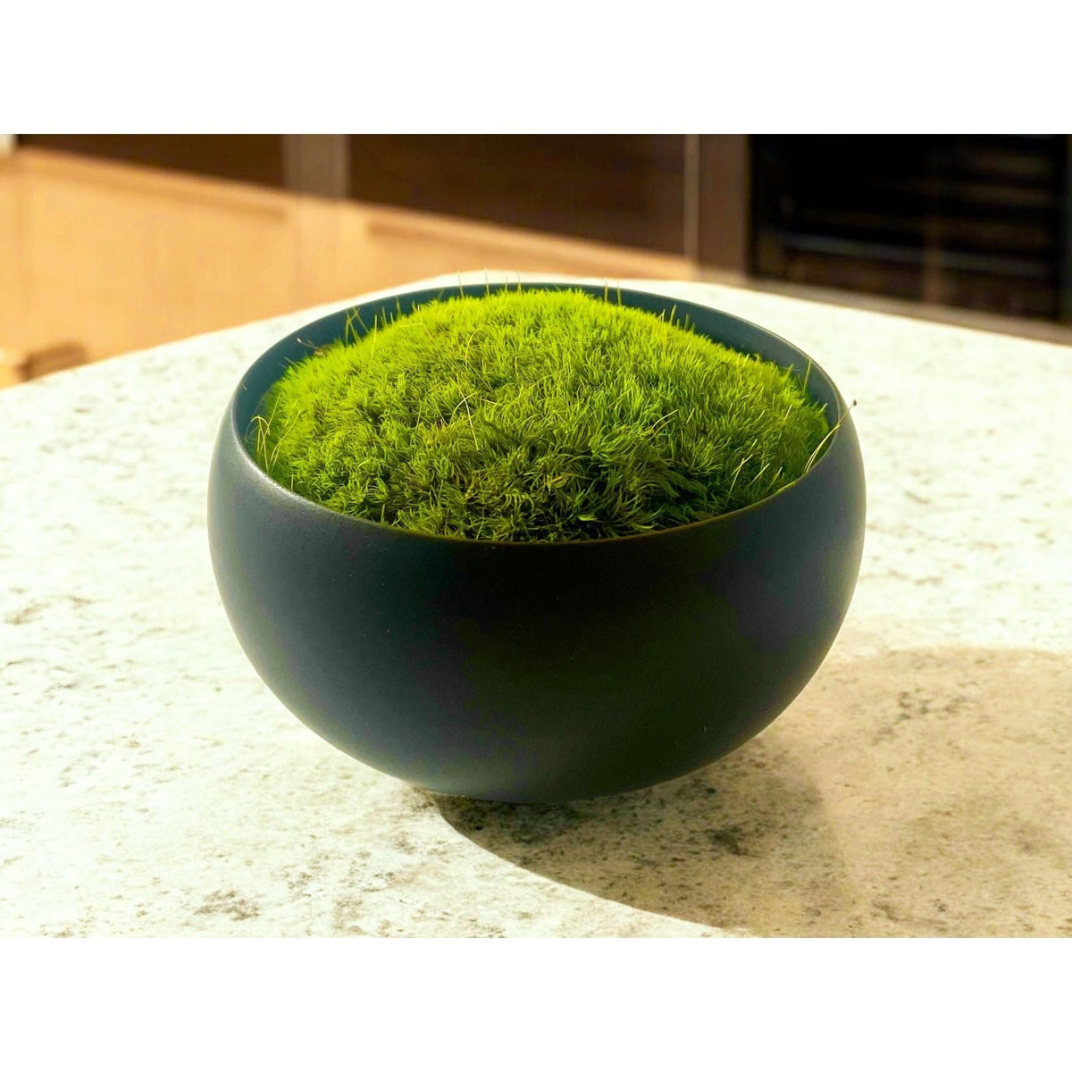 Preserved moss in black asymmetrical ceramic bowl on table.
