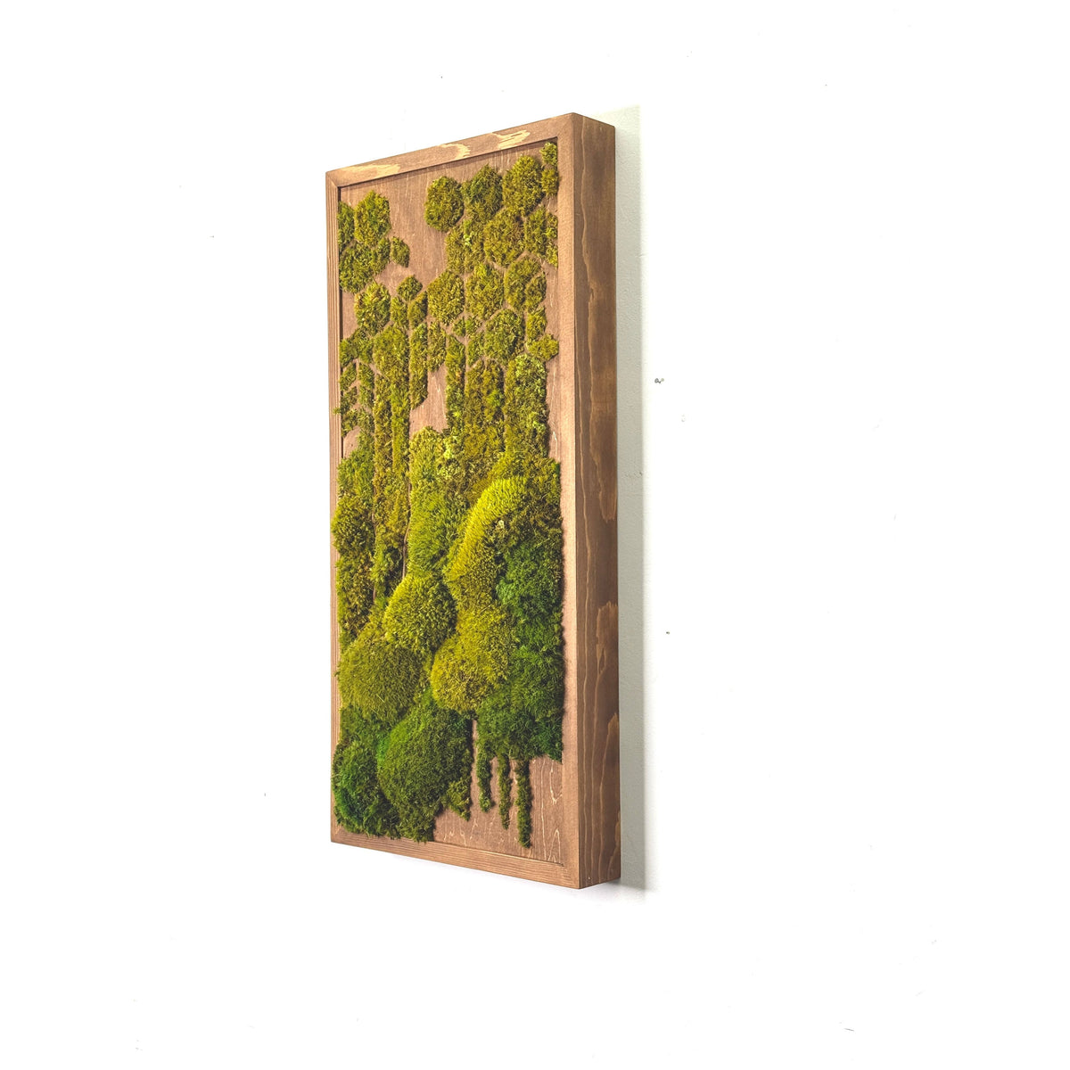 Geo Deco Botanical Moss Art 24” x 12”, olive tones in natural brown wood frame, no maintenance required.