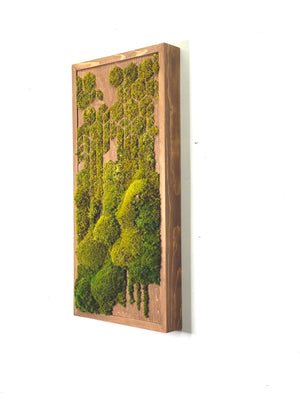 Geo Deco Botanical Moss Art 24” X 12”