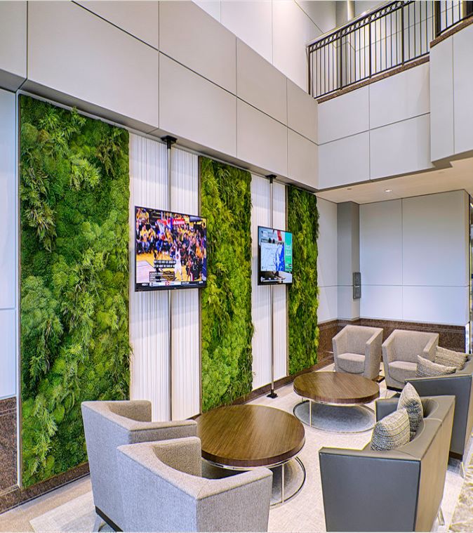 three-wall-moss-and-fern-panel-system