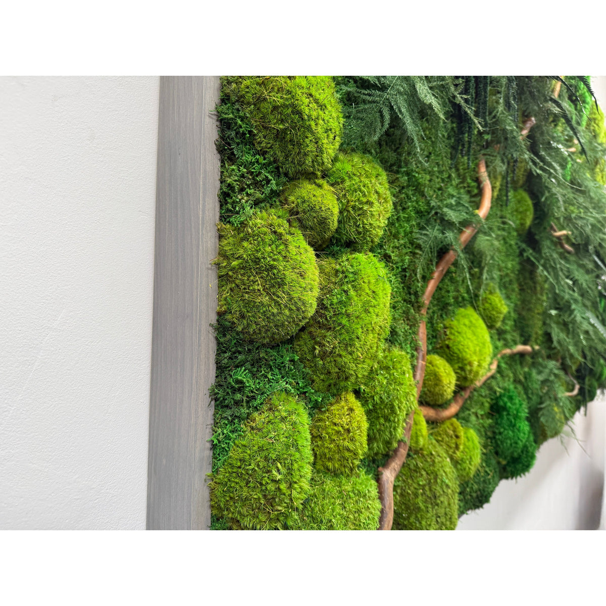Natural branch with moss and ferns wall art in wood frame.