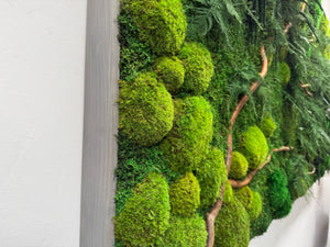 Natural branch with moss and ferns wall art in wood frame.