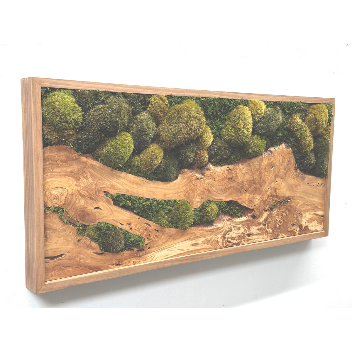 Olive Wood &amp; Olive Moss Plant Painting® with Mosses and Ferns in Natural Cedar Frame, 40” x 18”.