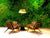 Denver_Install_pic1.jpg__PID:13948697-7975-4032-88eb-3756da3c0924