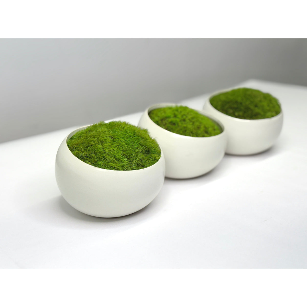 Modern white asymmetrical ceramic bowl with vibrant preserved moss.