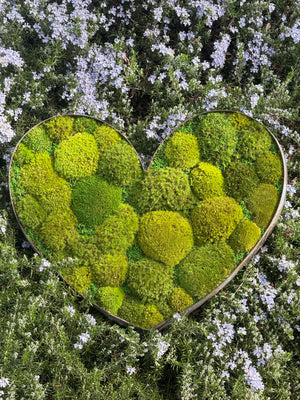 Heart-shaped frame with lush moss in a rustic metal wine barrel design.