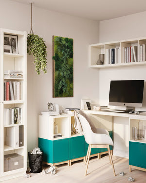 Warehouse Holiday Sale Preserved Moss Wall and Fern High Depth 40 " x 18"