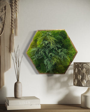 Warehouse Holiday Sale Preserved Moss Wall Art Hexagon 22.5"