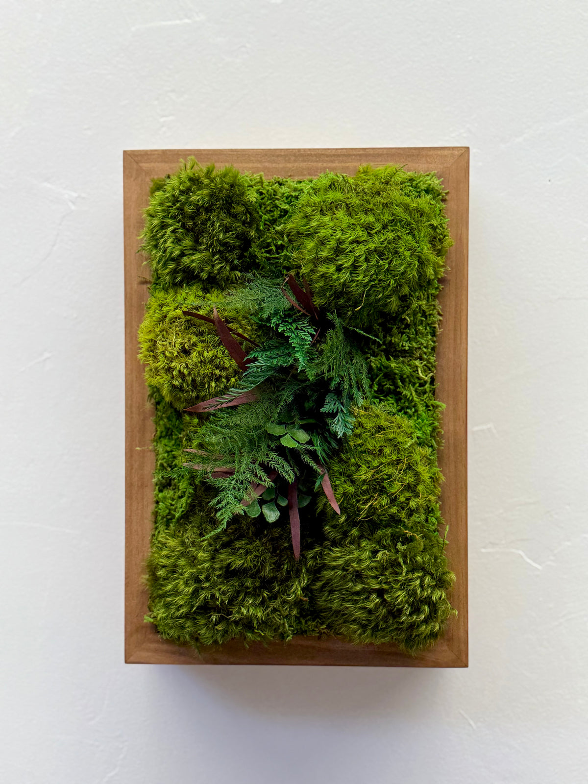 Fern &amp; Moss Plant Painting Handmade 8” x 12” or 12” x 8” Hang Horizontal or Vertical Holiday Gift Size