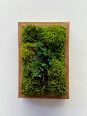 Fern & Moss Plant Painting Handmade 8” x 12” or 12” x 8” Hang Horizontal or Vertical Holiday Gift Size