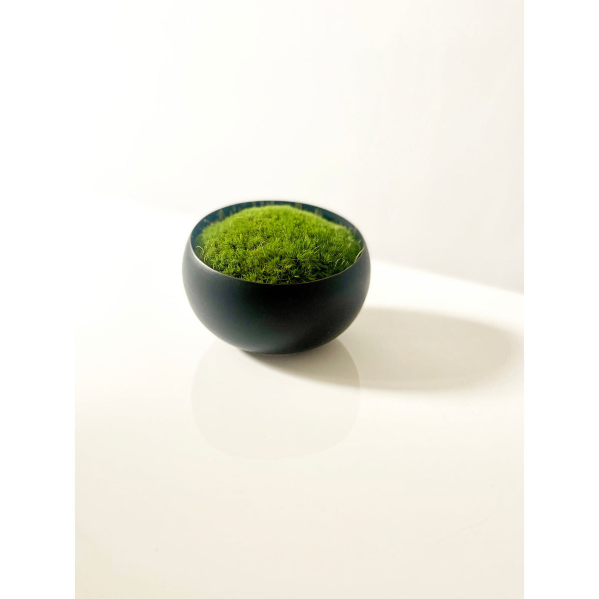 Modern black ceramic bowl with vibrant preserved moss insert, no maintenance required.