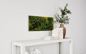 Warehouse Holiday Sale Preserved Moss Art Deep Red Branch 40" x 18"