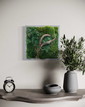 Warehouse Holiday Sale Preserved Moss Art 14" x 14"