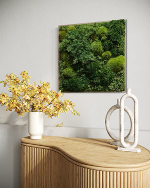 Warehouse Holiday Sale Preserved Moss Art Extra Ferns 24" x 24"