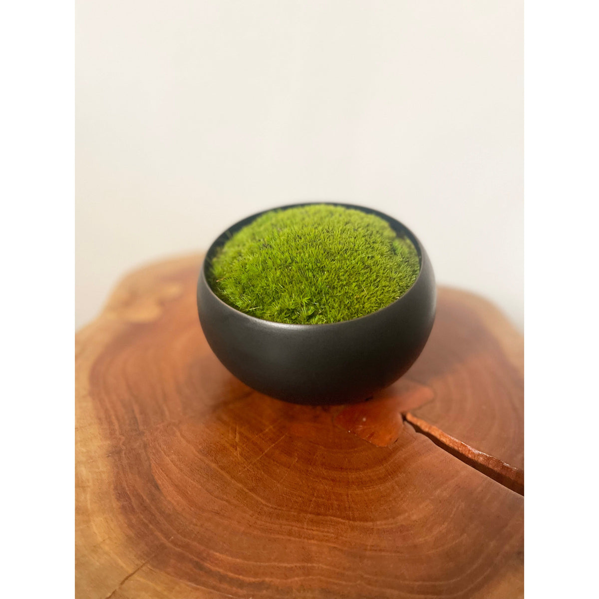Preserved moss in modern black asymmetrical ceramic bowl on wooden surface.