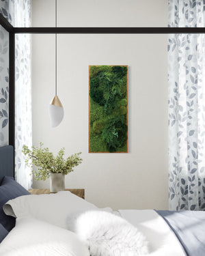 Warehouse Holiday Sale Preserved Moss & Fern Art 18” x 40”