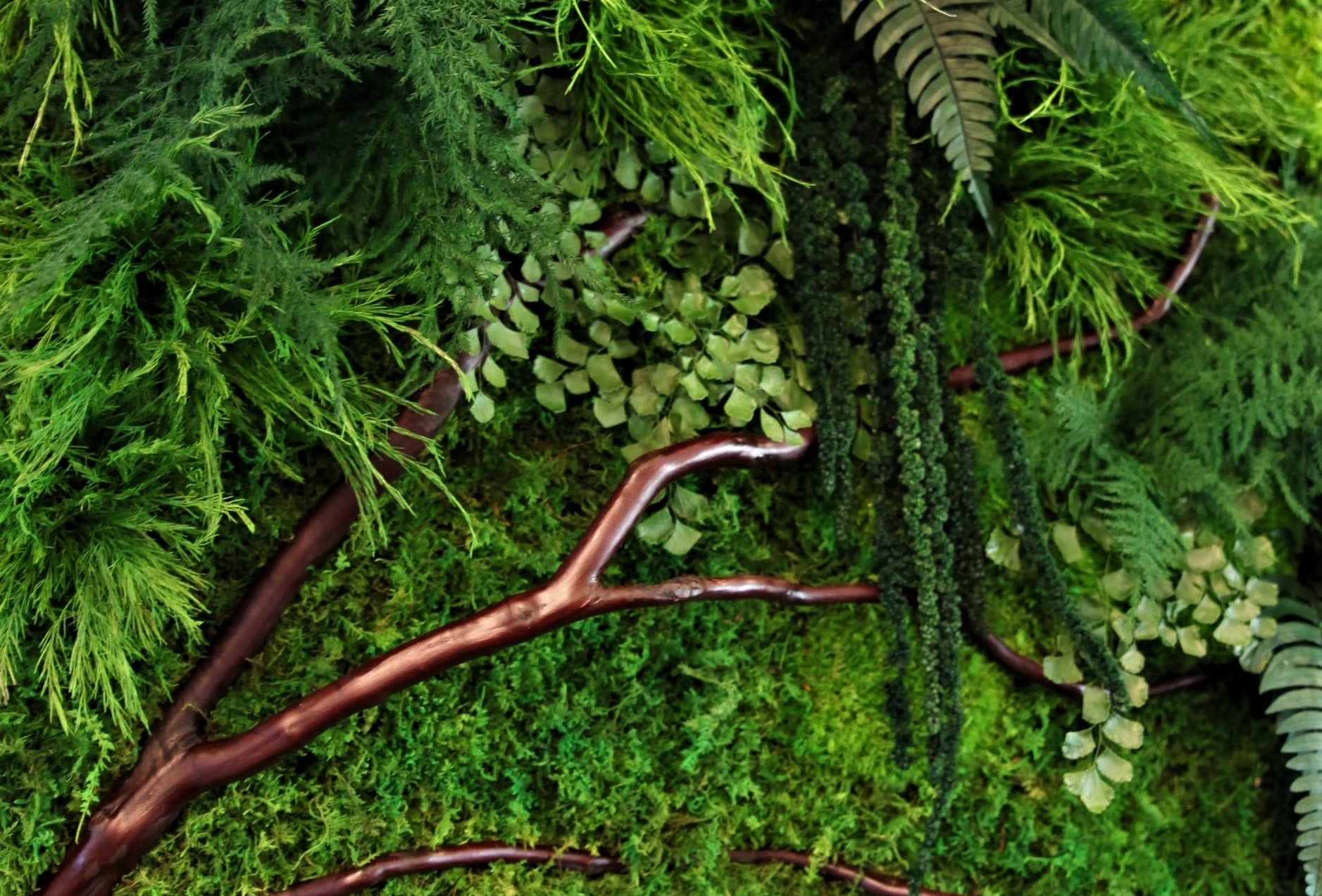 Red_Branch_Preserved_Moss_and_ferns_Maiden_fern_teardrop_fern