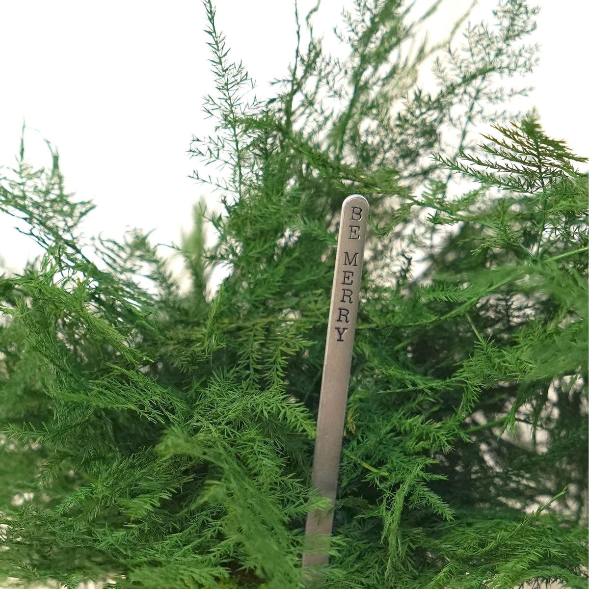 Featherleaf Fern Kokedama with silver-toned gift message sign in preserved moss.