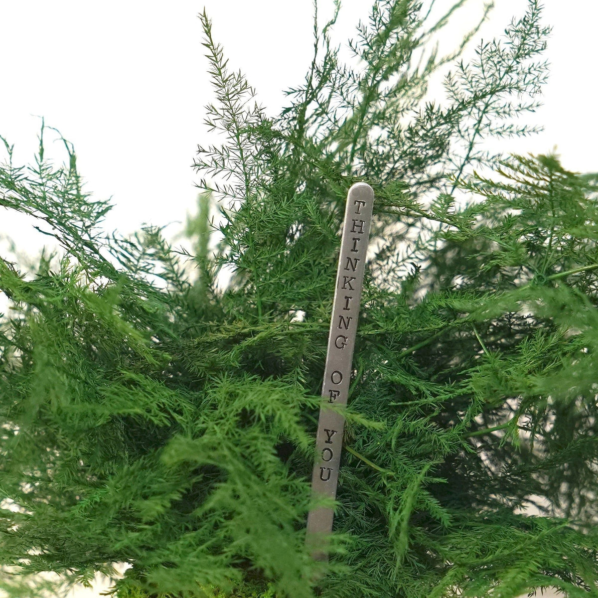 Featherleaf Fern Kokedama with preserved moss and metal gift message sign.