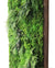 green-moss-and-fern-brown-framed-retail-framed-piece