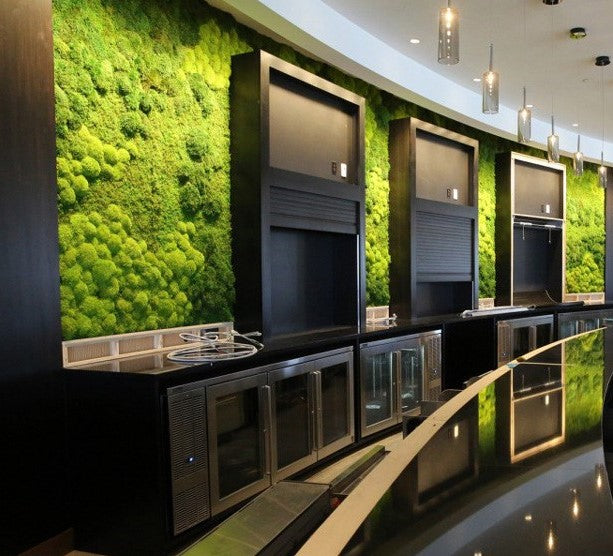 moss-wall-restaurant-cut-out-moss