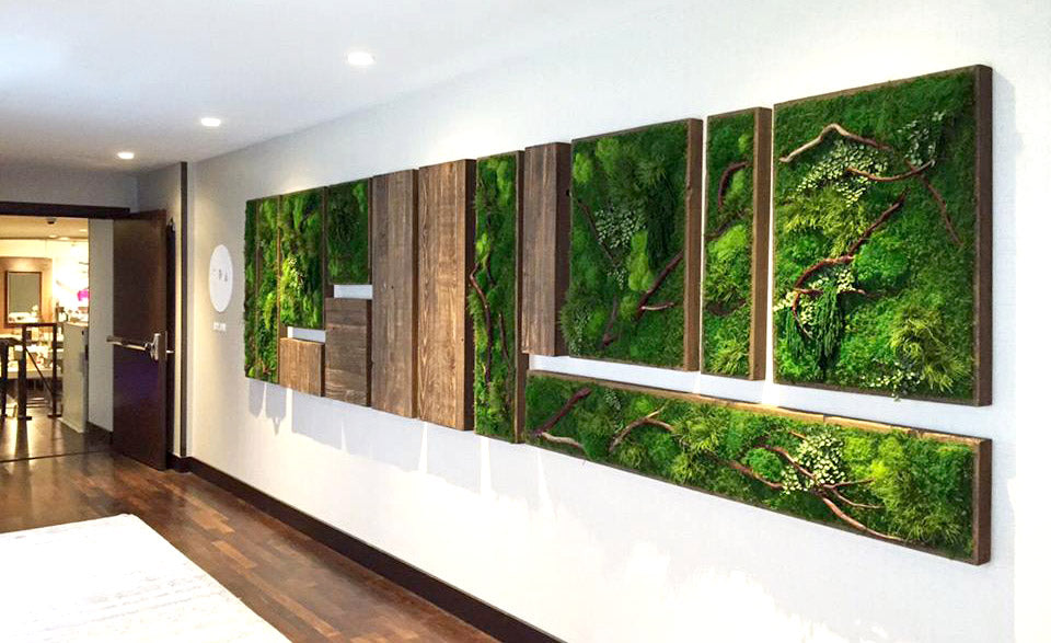 framed-moss-fern-wall-collage