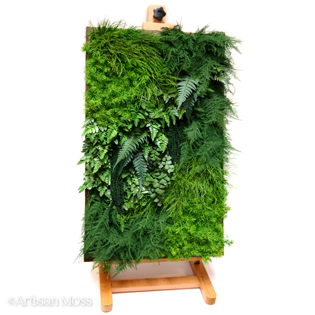 high-texture-preserved-moss-and-fern-on-easel