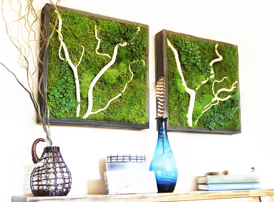 mantel-duo-preserved-moss-and-fern-with-white-willow-branch-in-square-frame