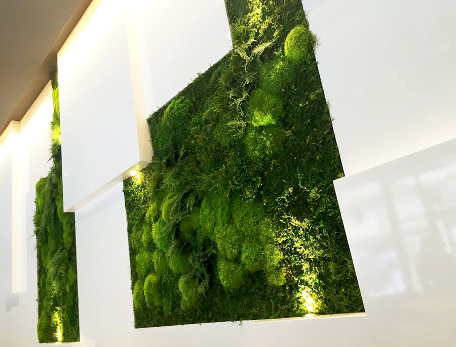 inlay-moss-wall-inside-gallery-wall