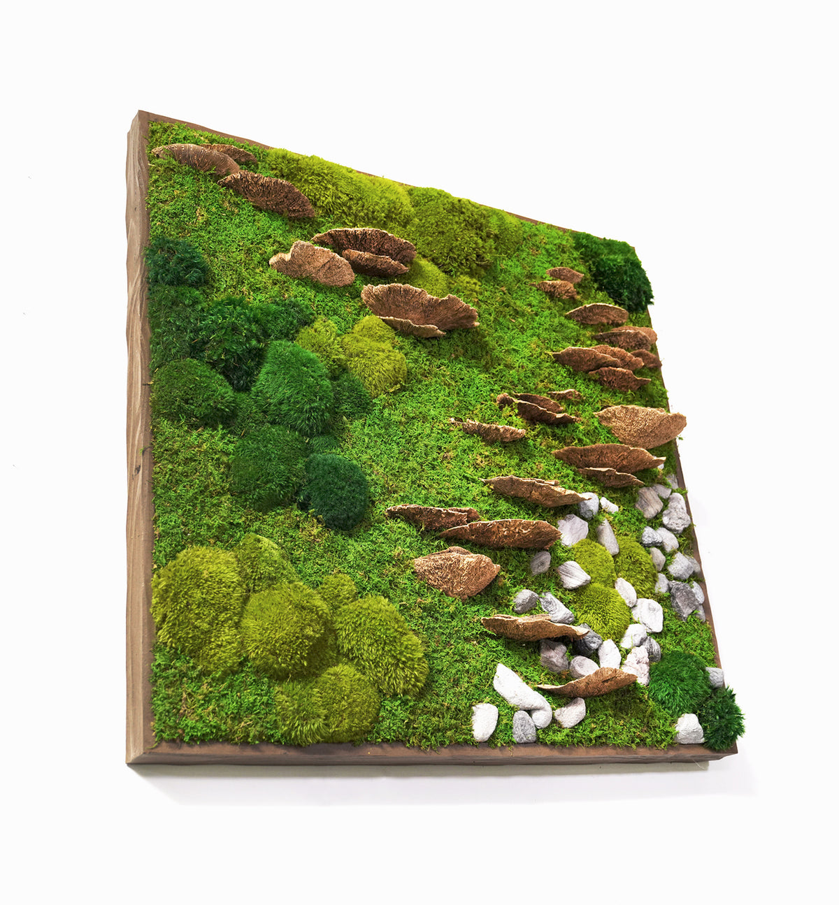1 Pack Round Framed Moss Metal Gold and Green Wall Decor Wall Greenery Art Print Natural Moss 18 in. x 18 in.