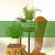 potted_preserved_plants_with_ferns_staged_in_residential_setting