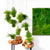 hanging_moss_balls_kokedama_with_potted_preserved_moss_plants_and_framed_moss_and_ferns_in_gray_frame