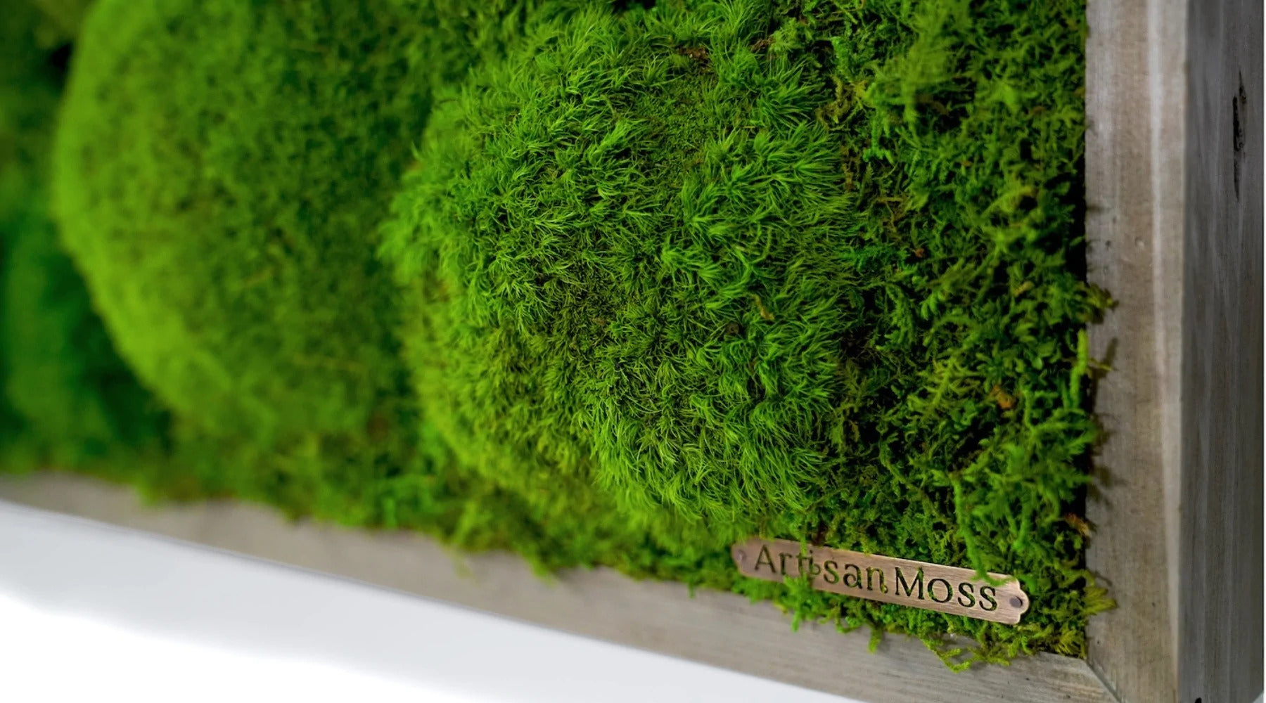 Artisan Moss  Preserved Moss Art & Custom Designed Moss Walls
