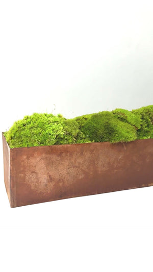 Large Metal Planter Box with Preserved Moss- No Watering