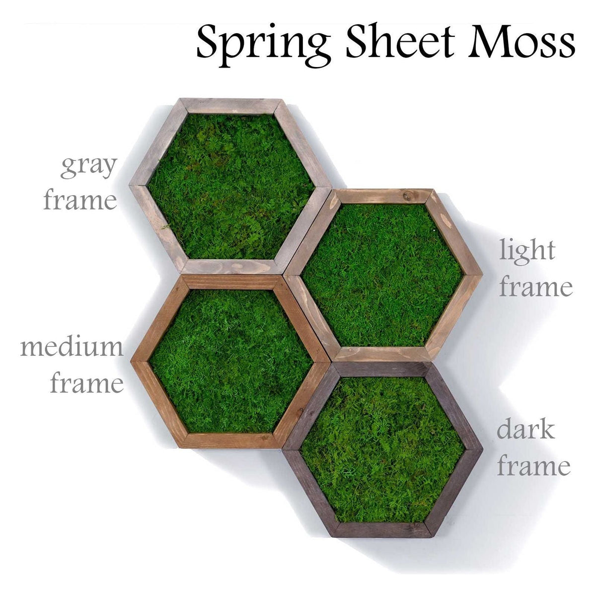 Modular hexagon frames with spring sheet moss in gray, light, medium, and dark wood options.