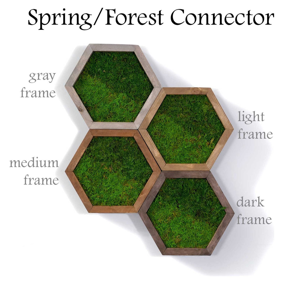 Modular hexagon wall art with preserved moss in gray, light, medium, and dark wood frames.
