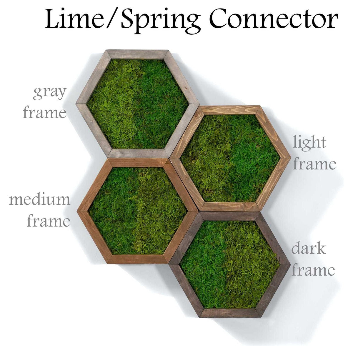 Modular hexagonal moss wall art with lime and spring green connector in gray, light, medium, and dark frames.