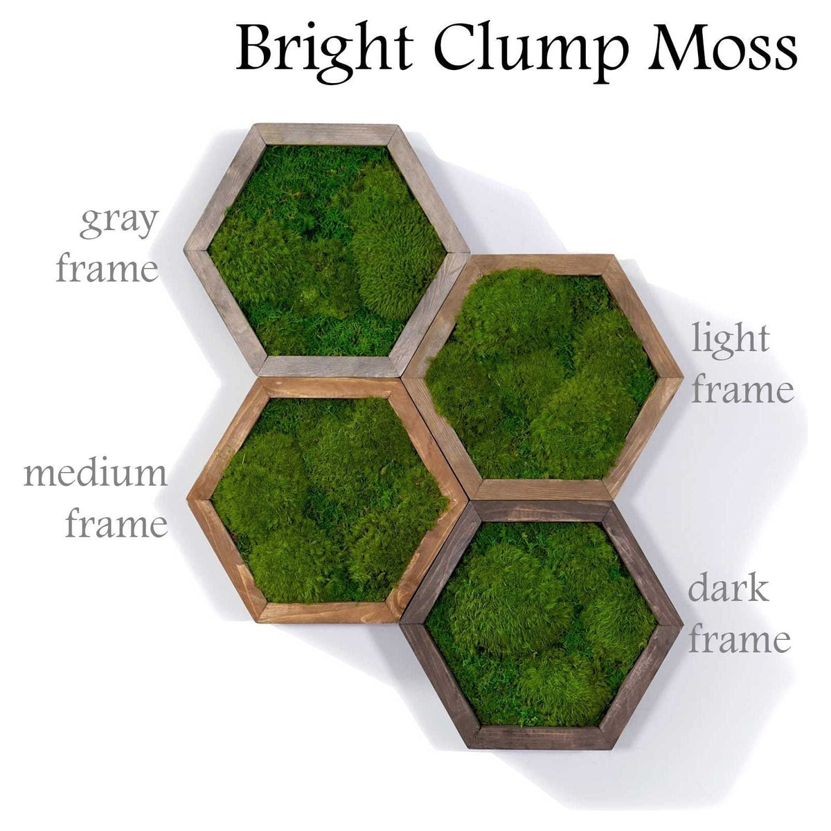 Modular hexagon moss wall art with gray, light, medium, and dark wood frames.