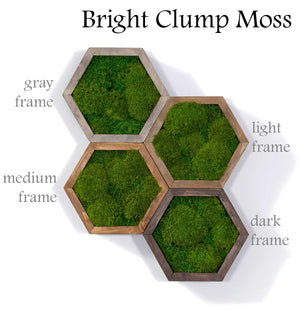 Modular Hexagons (single hex) 40 options to design your own wall