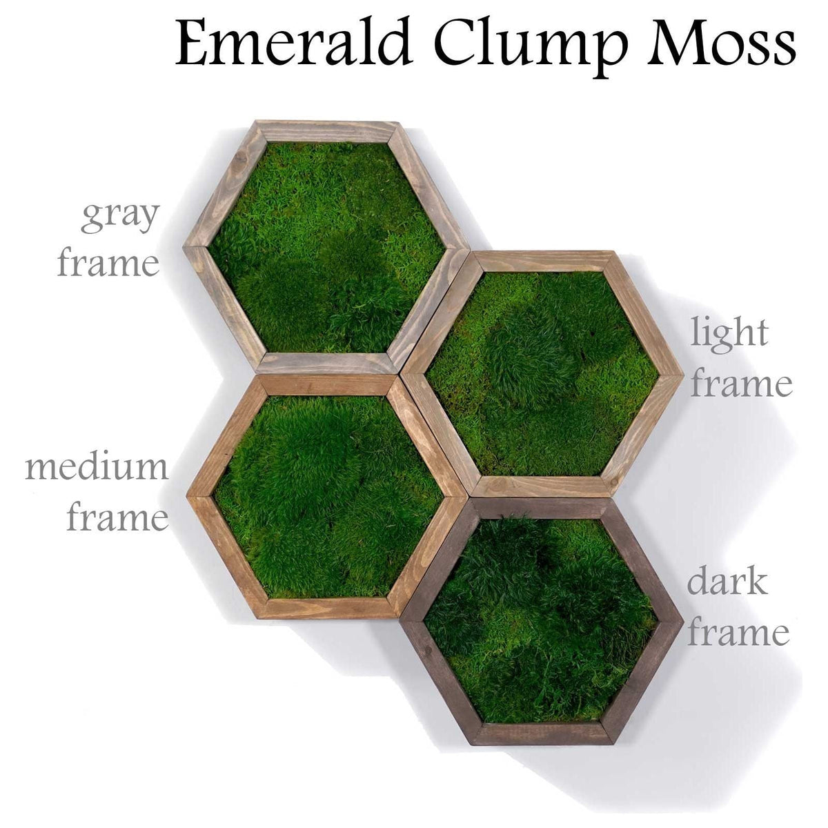 Modular hexagon with emerald clump moss in gray, light, medium, and dark wood frames.