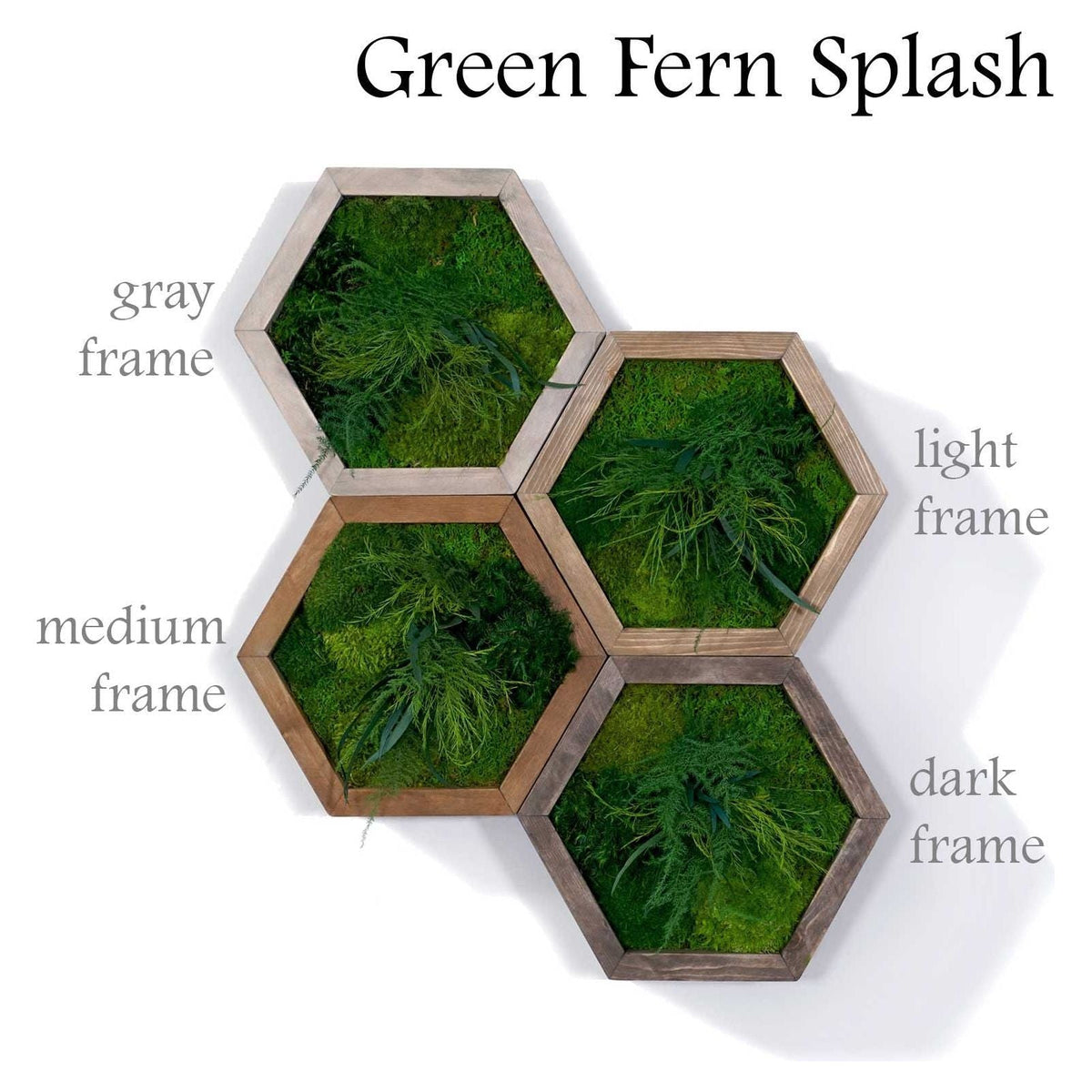 Modular hexagon wall art with green fern splash and various wood frame options.
