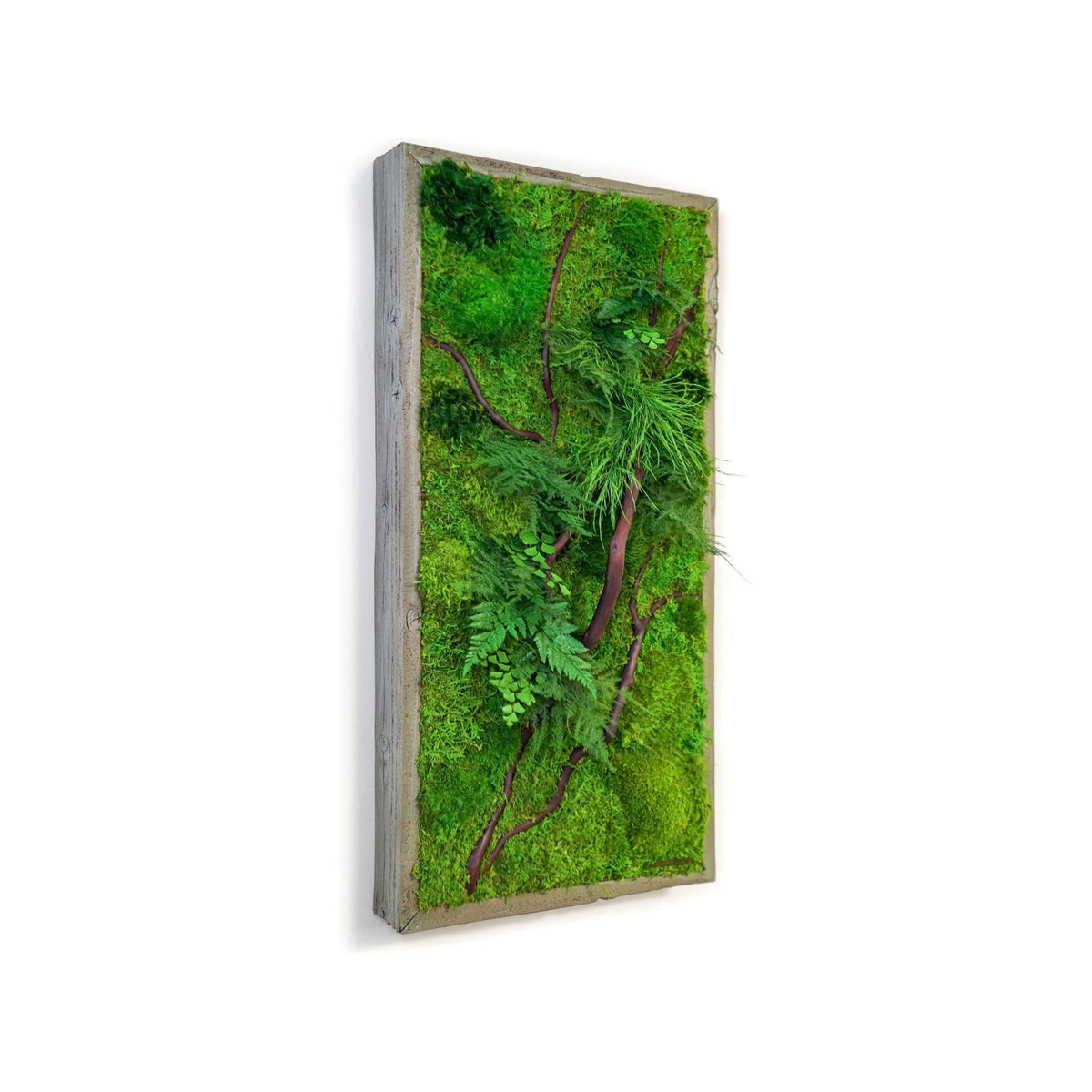 Red Branch 12” x 24” Plant Painting with red bark branches, ferns, and moss in rustic grey frame.