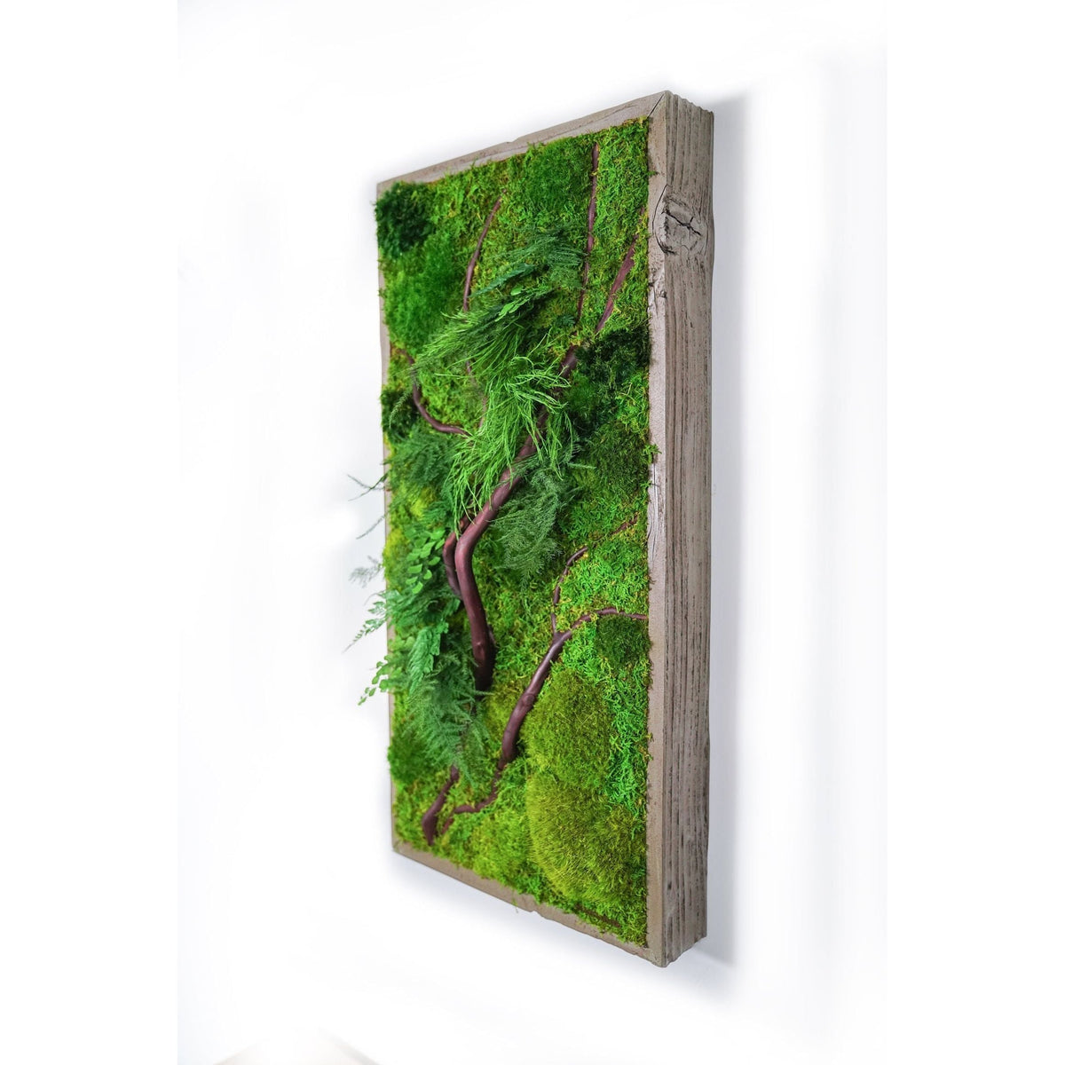 Red Branch 12” x 24” Plant Painting® with red bark branches, ferns, moss in rustic grey shadow box frame.