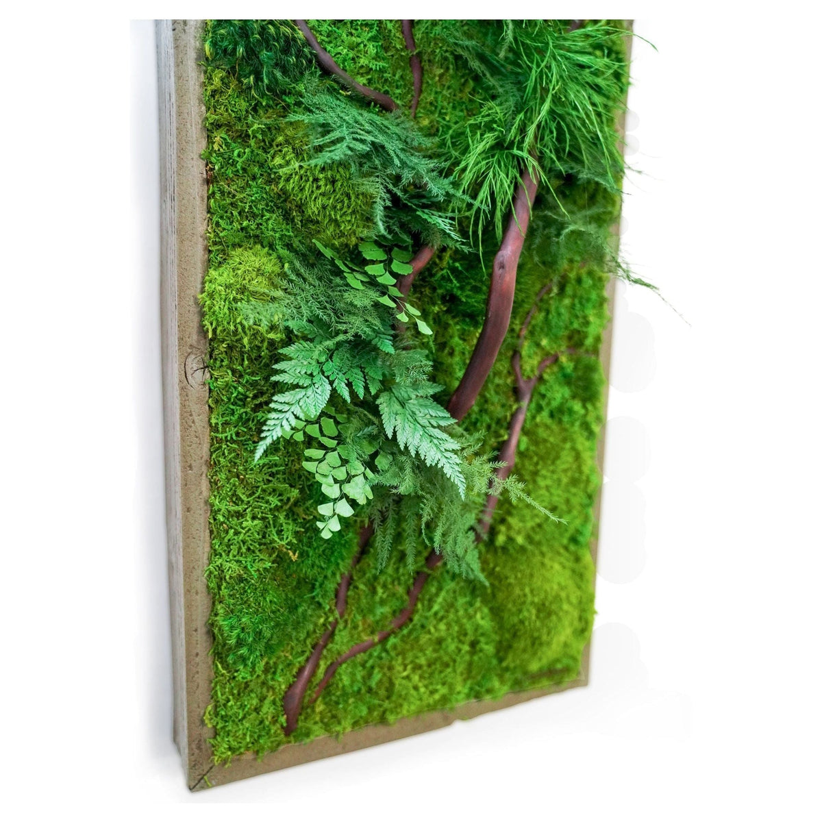 Red Branch 12” x 24” plant painting with red bark branches, ferns, and moss in a rustic grey shadow box frame.