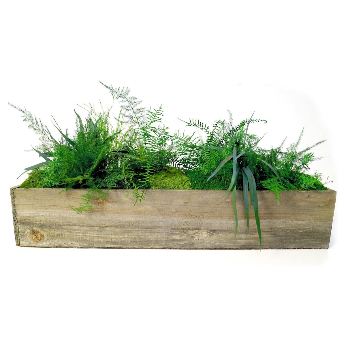 Large wooden planter box with preserved moss and ferns, no watering required.