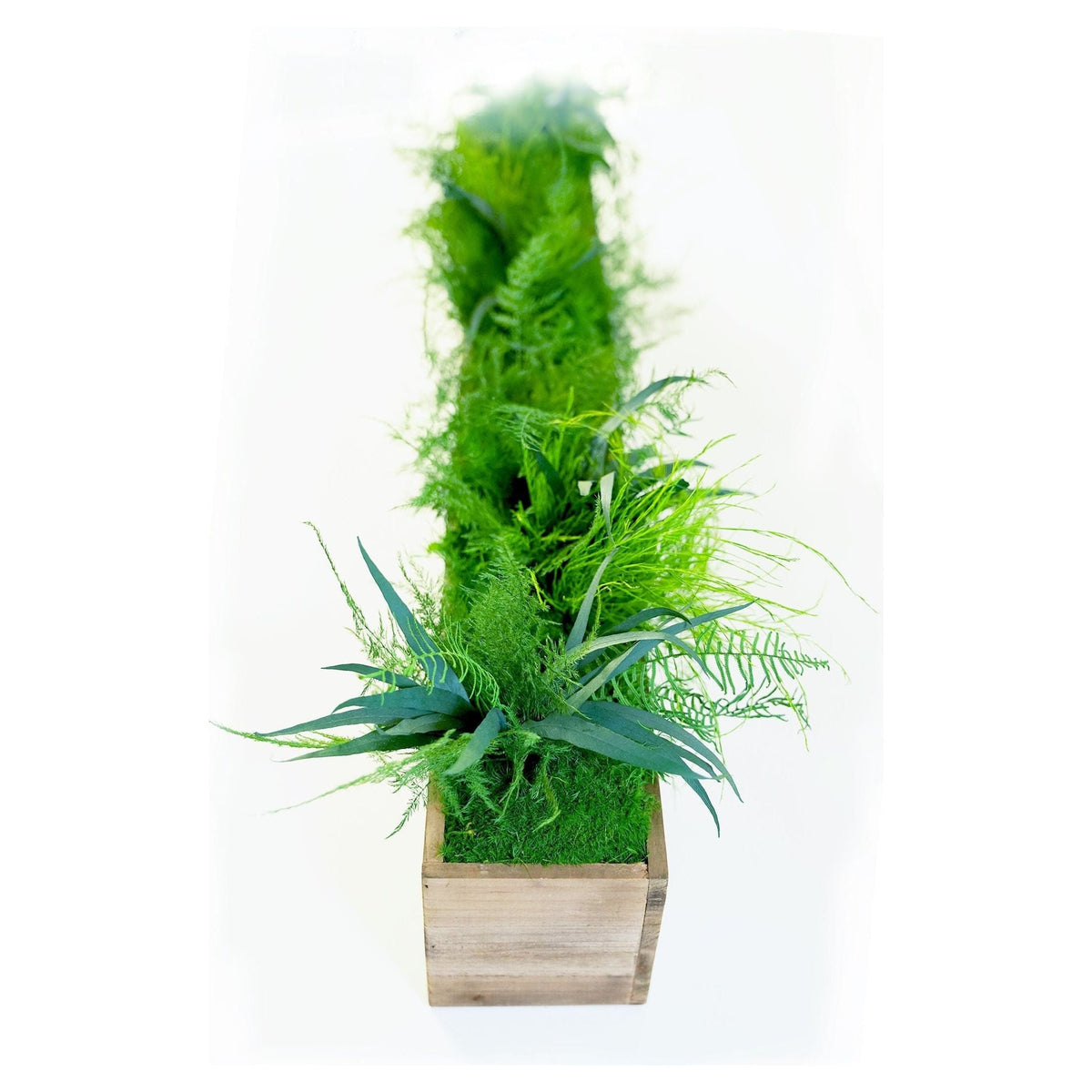 Large wooden planter box with vibrant preserved moss and ferns.