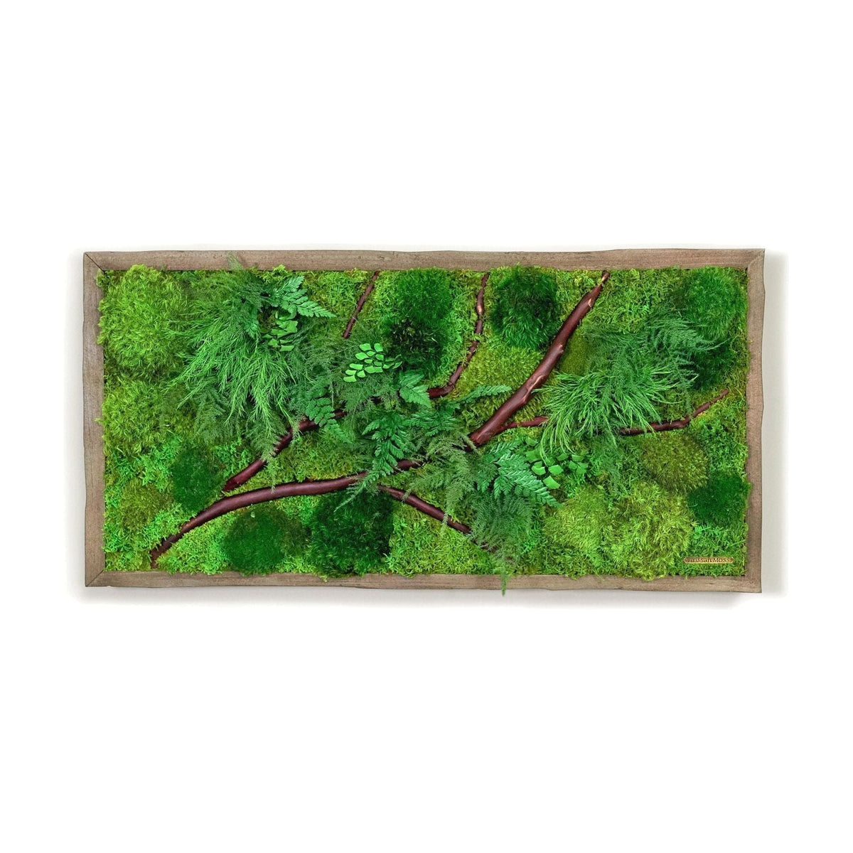 Red Branch 12” x 24” plant painting with red bark branches, ferns, moss, rustic grey shadow box frame.