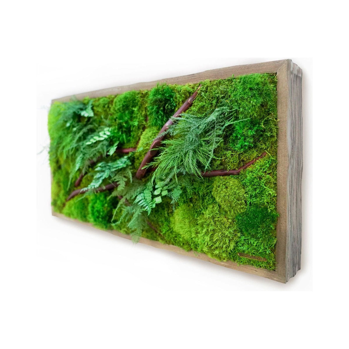 Red Branch 12” x 24” plant painting with red bark branches, ferns, and moss in a rustic grey wood frame.