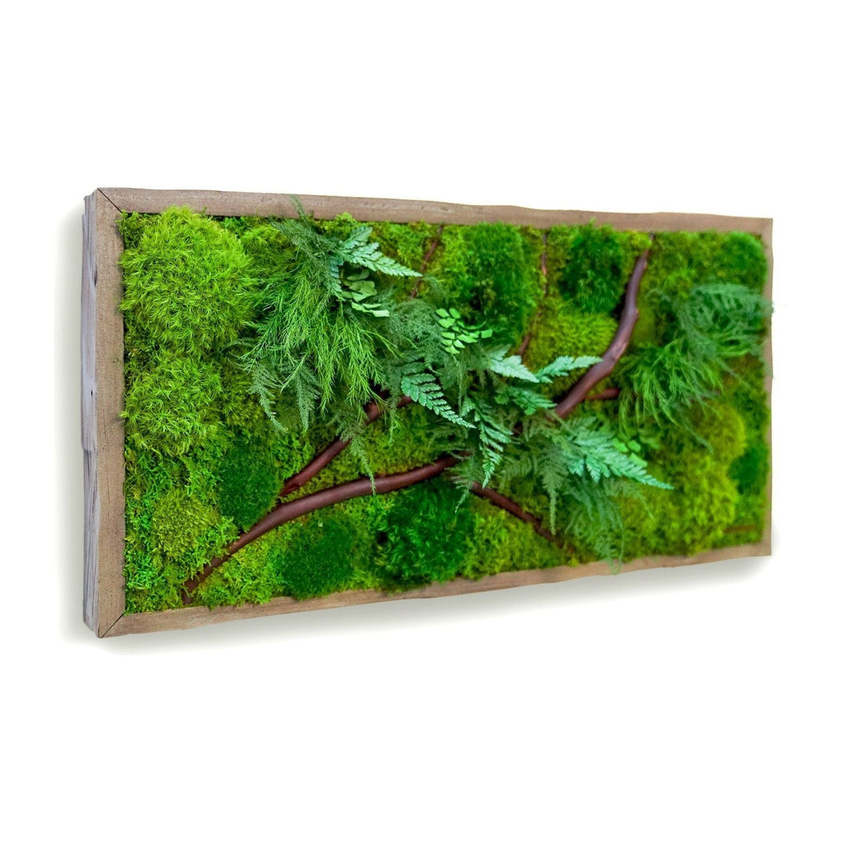 Red Branch 12” x 24” Plant Painting with ferns and moss in rustic grey wood frame.