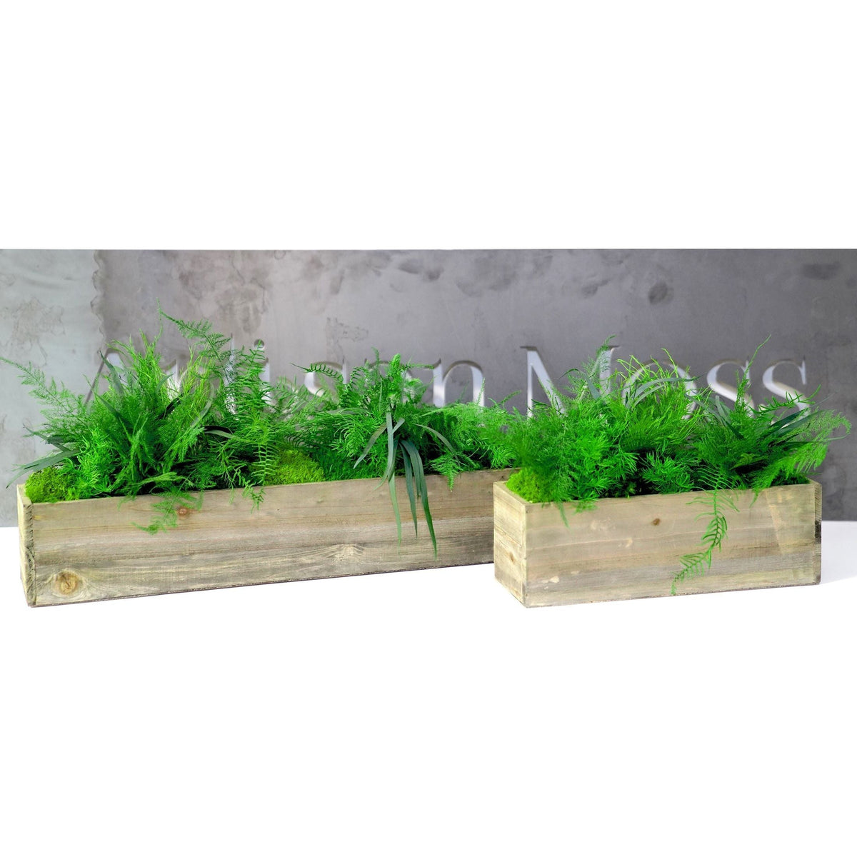 Set of 2 wooden planter boxes with preserved moss and ferns, rustic design, maintenance-free.